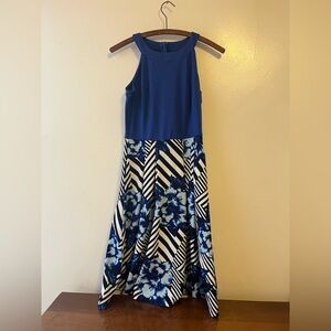 Blue Flower Stripe Dress